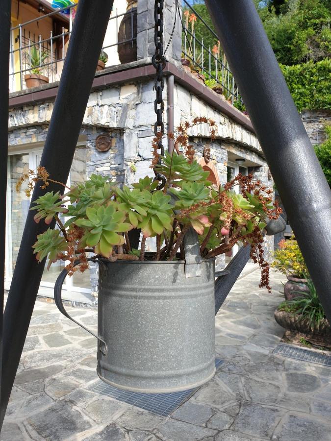 B&B Collina E Mare 카모글리 외부 사진