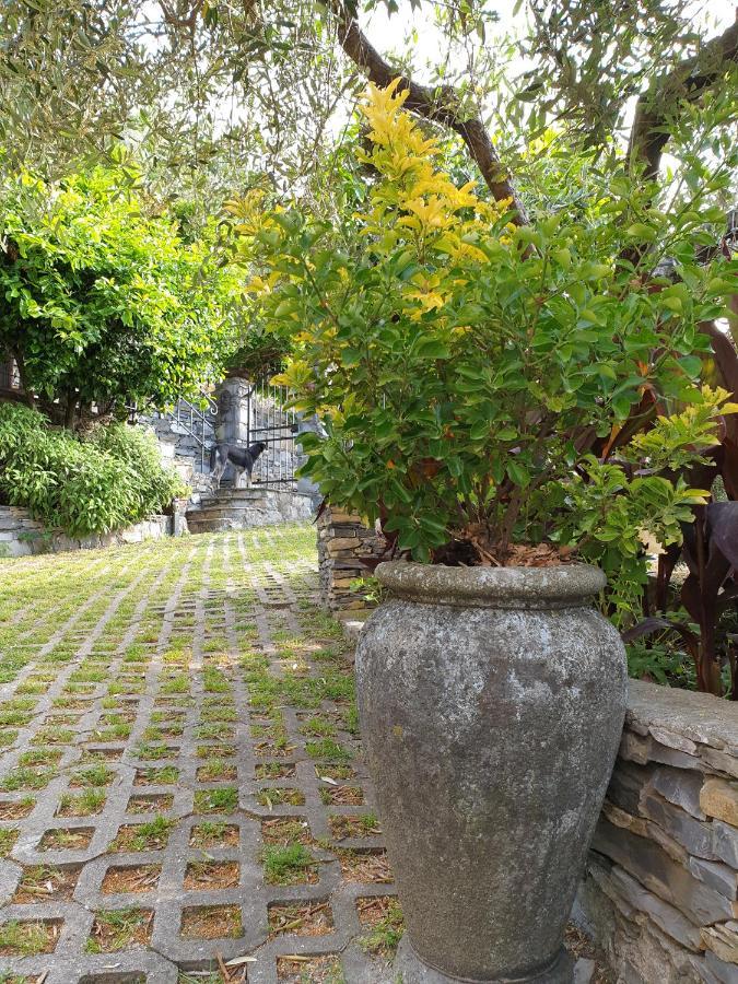 B&B Collina E Mare 카모글리 외부 사진