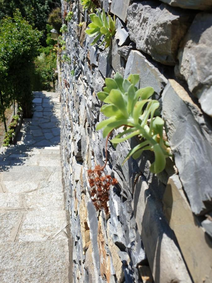 B&B Collina E Mare 카모글리 외부 사진