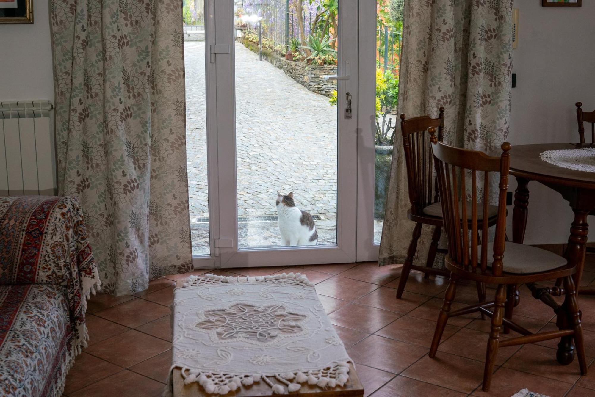 B&B Collina E Mare 카모글리 외부 사진