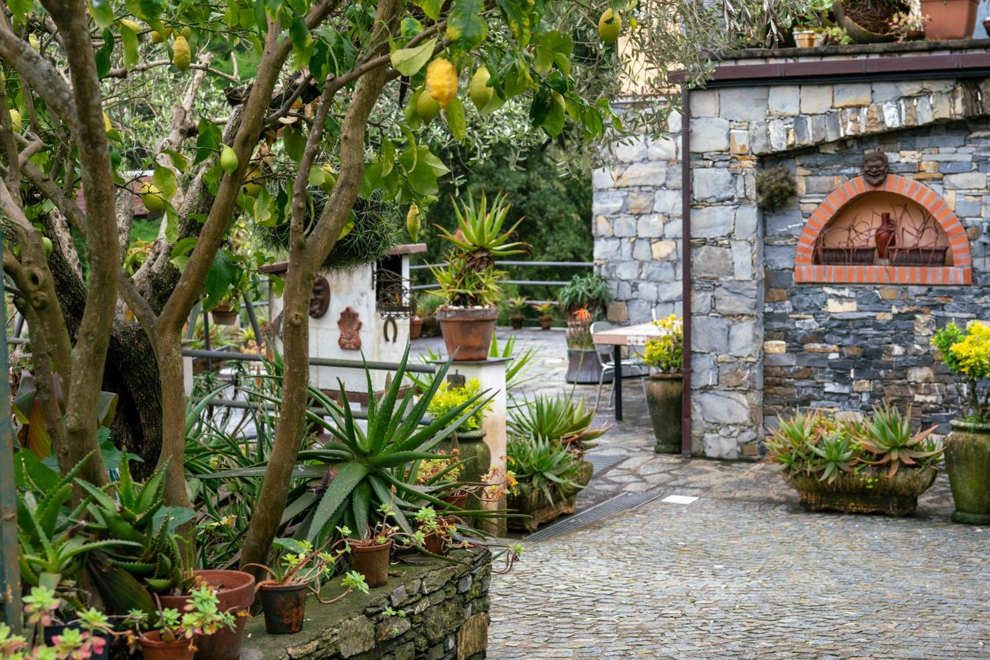 B&B Collina E Mare 카모글리 외부 사진